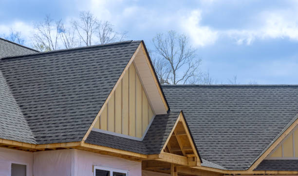 Best Siding  in Zimmerman, MN
