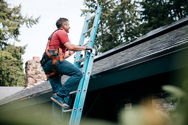Best Chimney Flashing Repair  in Zimmerman, MN